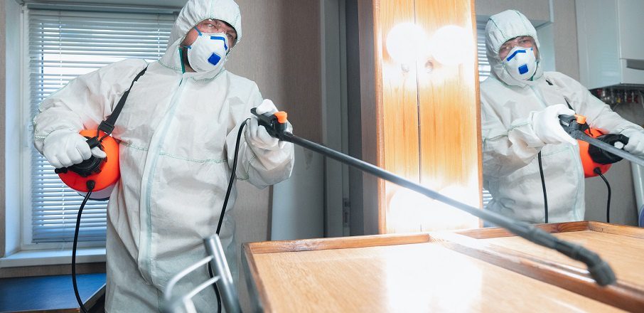 How To Improve Your Mold Remediation Business